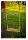 Adventure Parks Classic Maple Swing Backyard Tree Swing Day Care Play Retro