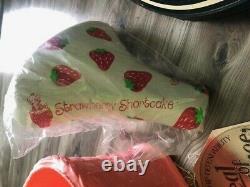 Brand New Vintage 1982 Strawberry Shortcake Tricycle Bike Made in the USA