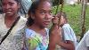 Island Children Com Visit Our House Only To Find Me A Blindowl Outdoors Expar Philippines Foreigner