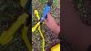 Outdoor Toys 2 Foam Rocket Launcher Amazon Toys Outdoors Fun