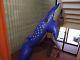 Rare vintage inflatable blow up 8 foot blue whale by Intex mid 1980 the wet set