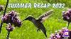 Summer Recap 2022 See All Of The Best Summer Highlights Antique U0026 Garden Showcase