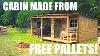 This Tiny House Cabin Was Made From Free Pallets