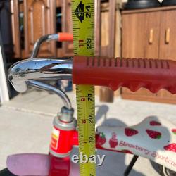 Vintage 1980s Strawberry Shortcake Child Size Hedstrom Red Metal Tricycle HLN