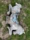 Vintage Gametime Saddle Mates Ride On Spring Rider Playground Toy Horse Ships