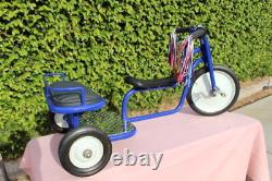 Vintage Lakeshore Rickshaw Tricycle