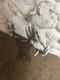 Vintage PlayWorld Systems Cast Aluminum Ride On Playground Equipment Panda