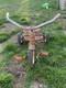 Vintage three wheel tricycle